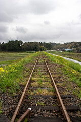 日本の田舎の風景、ローカル路線のまっすぐ先へと伸びた一本の線路と菜の花