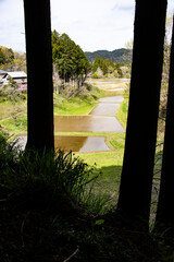 峠の山道から下の水田を見下ろす