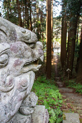 山門へと続く階段をを見守る狛犬の像のアップ