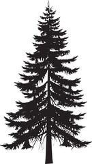 Pine tree silhouettes. Evergreen forest firs and spruces black shapes, wild nature trees templates. Vector illustration woodland trees set on white background