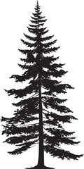 Pine tree silhouettes. Evergreen forest firs and spruces black shapes, wild nature trees templates. Vector illustration woodland trees set on white background