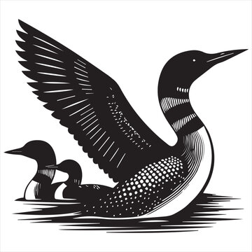 recommend clip art: Loon silhouette vector art illustration with white background