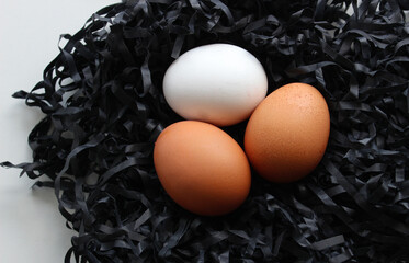 Stock Photo Of White, Beige And Brown Eggs On Black Paper Strips