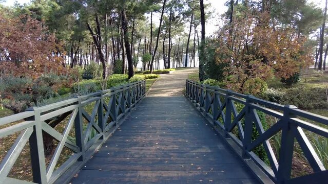 pov walking on Wooden bridge over a stream in a treefilled park