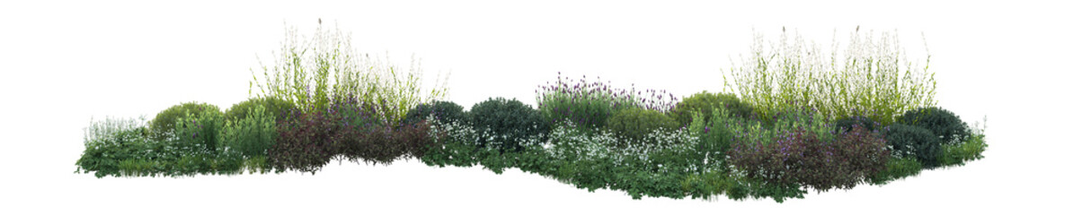 3d rendering of flowers, plants and flowers. Mediterranean garden