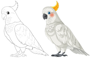 Vector illustration of a cockatoo in two styles