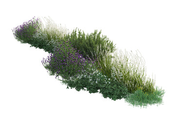 3d rendering of flowers, plants and flowers. Mediterranean garden