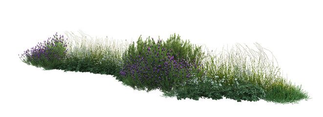3d rendering of flowers, plants and flowers. Mediterranean garden