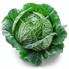 Obraz premium cabbage on white background