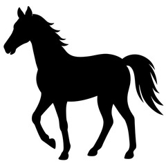 horse silhouette isolated on white