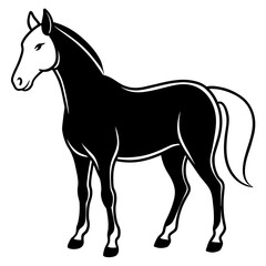 horse silhouette isolated on white