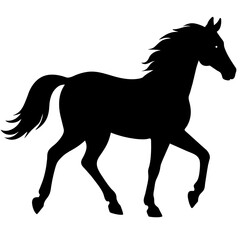 horse silhouette isolated on white