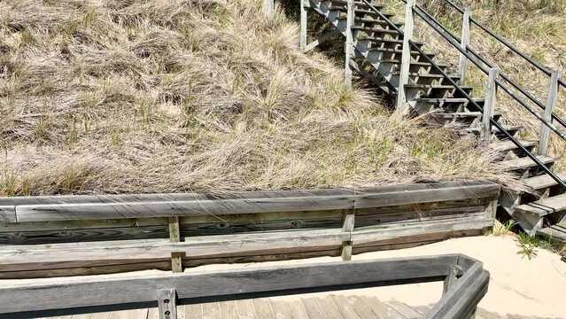 Dune grass against old lumber stairs.