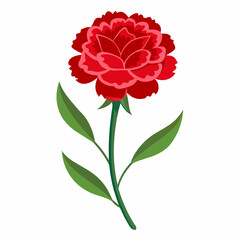 Obraz premium Carnation Flower Vector illustration 