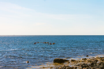 Kayaking on a Sunny Day