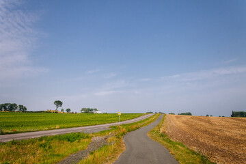 Country Road and Crop Fields