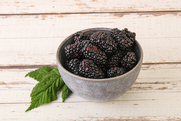 Natural organic blackberry in the bowl