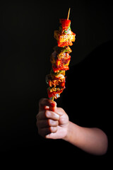 selective focus of famous Indian dish Paneer Tikka Masala Tandoor or Paneer Kebab with a dark...