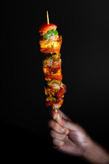 selective focus of famous Indian dish Paneer Tikka Masala Tandoor or Paneer Kebab with a dark...