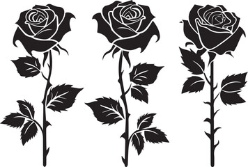set of roses