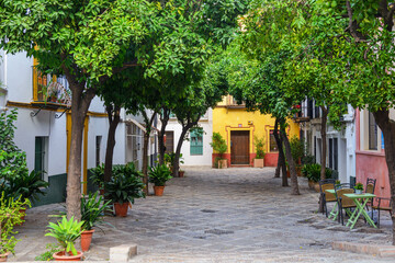 Fototapeta na wymiar cozy street in a old town in Seville, Spain. Popular tourist area Barrio de Santa Cruz