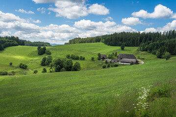 Jostal in the Black Forest, hilly landscape with farm houses and green meadows, Titisee-Neustadt, Baden-Wuerttemberg, Germany