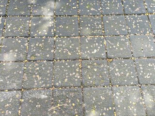 Gray stone square pavers dotted with contrasting fallen leaves background texture