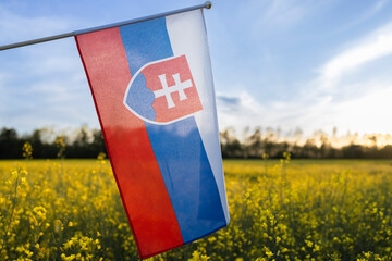 Slovak flag against the background of a blooming rapeseed field and blue sky. National symbol of freedom and independence of the country. Pride of the nation, love of the motherland