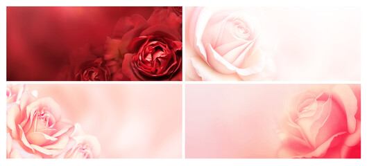 Set of horizontal banners with rose of pink and red color on blurred background. Copy space for text. Mock up template. Can be used for wallpaper, wedding card, web page backdrop