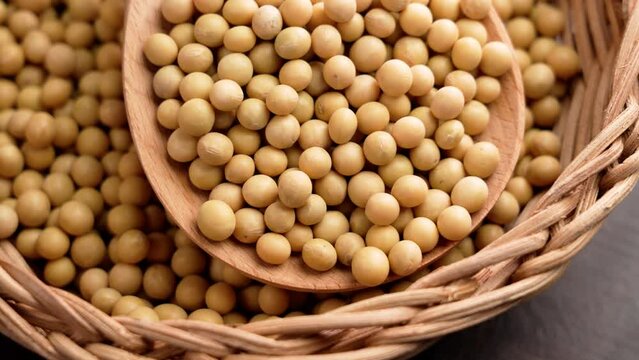 Yellow soybeans in kitchen rattan dish with wooden spoon. Uncooked dried soy grains. Soya beans. Agriculture bio product. Rotation
