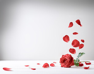 A single red rose with its petals scattered around it, creating a sense of movement and romance against a white background.