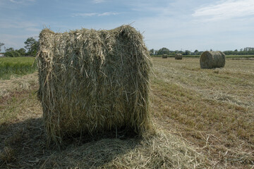 Hay bales