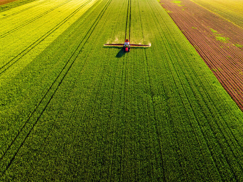 Drone shot of a red tractor applying treatment to wheat crops in vast farmland