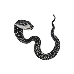 Snake Animal black silhouette vector with white color background