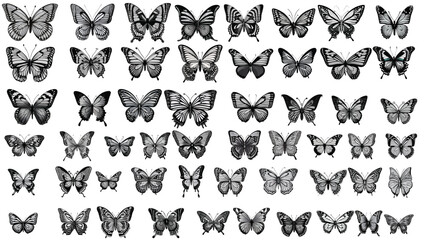 Monarch butterfly silhouettes collection,Set of cute butterfly on white background vector illustration