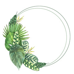 Fototapeta premium Tropical green leaves wreath, exotic home plant, Monstera palm, creeper. Variety of leaf types circle frame. Botanical jungle clipart. Watercolor hand drawn illustration. Isolated white background. 