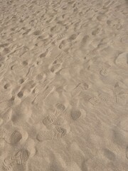 beach close up beach texture