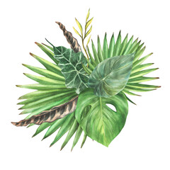 Bouquet of tropical green leaves, exotic home plant, Monstera palm, creeper. Variety of leaf types. Botanical composition, jungle clipart Watercolor hand drawn illustration Isolated white background. 