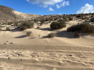 sandy desert on the ocean shore