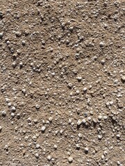 sand with small shells