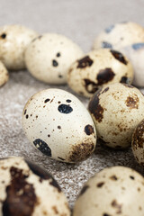 Quail eggs close-up on a gray background.