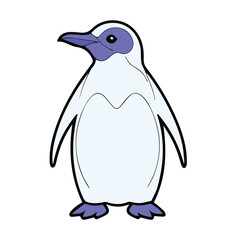 penguin line color filled illustration design