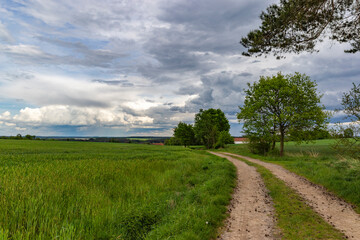 Storm is coming. Summer landscape with thunderclouds.