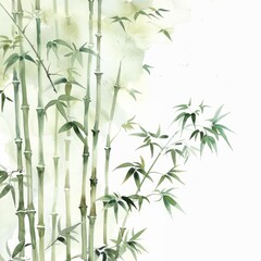 Watercolor painting of a serene bamboo forest with tall, slender stalks swaying in the breeze, on isolated white background, Generative AI 