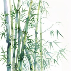 Obraz premium Watercolor painting of a serene bamboo forest with tall, slender stalks swaying in the breeze, on isolated white background, Generative AI 