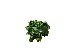 wakame seaweed on transparent background. Top view © Tanu4869