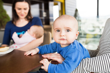 New mom friends going to cafe with babies. Spending free time during maternity leave together in...