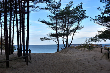 sea shore in late autumn