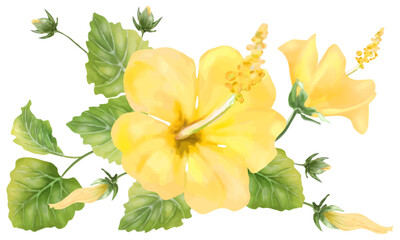 黄色いハイビスカスの花のイラスト