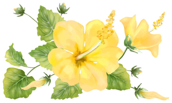 幸せの黄色いハイビスカス(色鉛筆画) 幸せの黄色いハイビスカス(色鉛筆画)